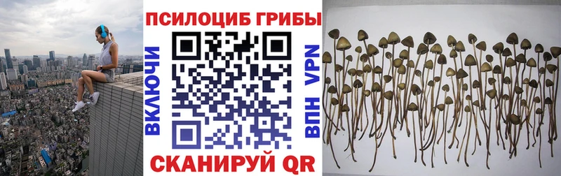 Псилоцибиновые грибы мицелий  Верхний Тагил 