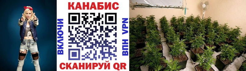 купить  цена  Верхний Тагил  Марихуана план 