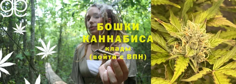 Бошки марихуана SATIVA & INDICA  Верхний Тагил 